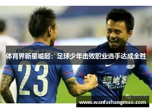 体育界新星崛起：足球少年击败职业选手达成全胜